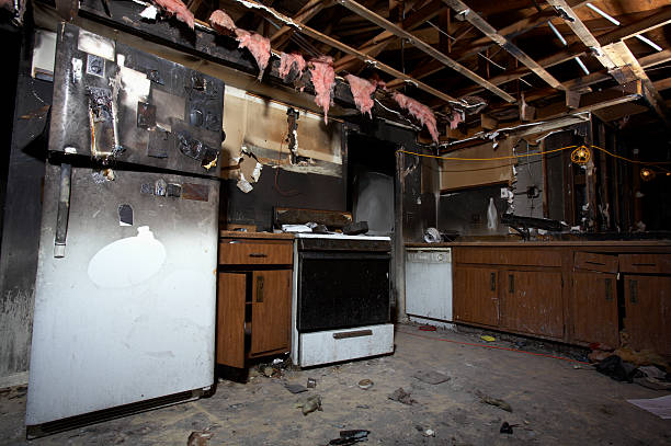 Affordable Fire Damage Removal solutions in Montrose, MN